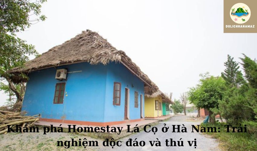 Read more about the article Khám phá Homestay Lá Cọ ở Hà Nam: Trải nghiệm độc đáo và thú vị